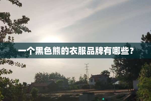 一个黑色熊的衣服品牌有哪些？
