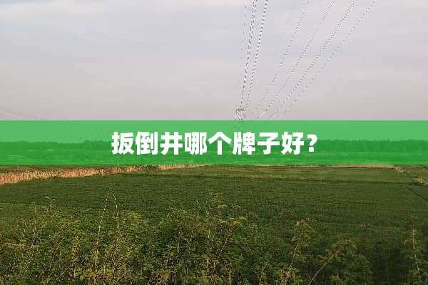 扳倒井哪个牌子好？