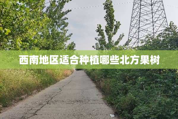 西南地区适合种植哪些北方果树