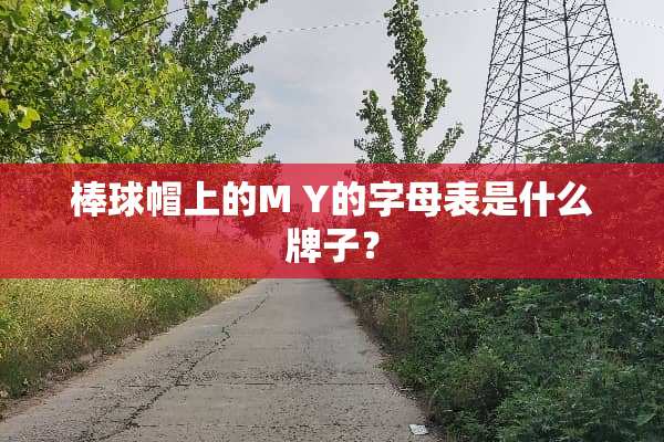 棒球帽上的M Y的字母表是什么牌子？
