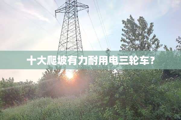 十大爬坡有力耐用电三轮车？