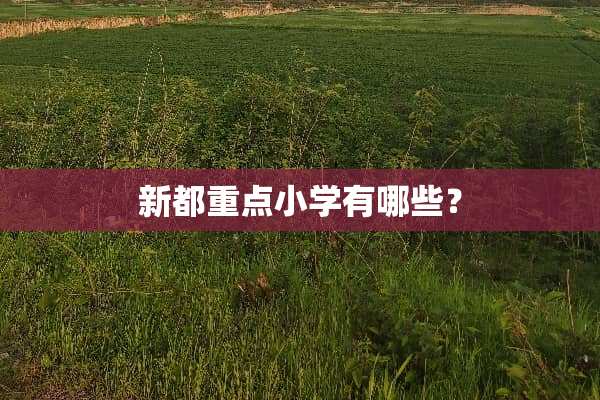 新都重点小学有哪些？
