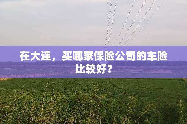 在大连，买哪家保险公司的车险比较好？