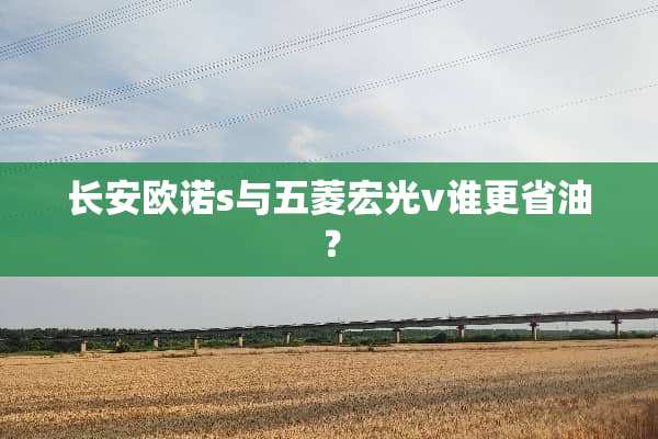 长安欧诺s与五菱宏光v谁更省油？