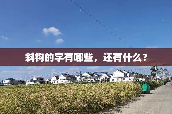 斜钩的字有哪些，还有什么？