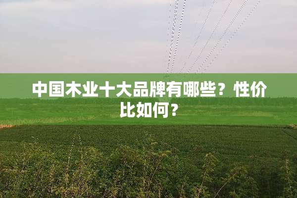 中国木业十大品牌有哪些？性价比如何？