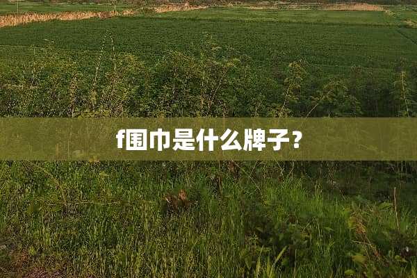 f围巾是什么牌子？