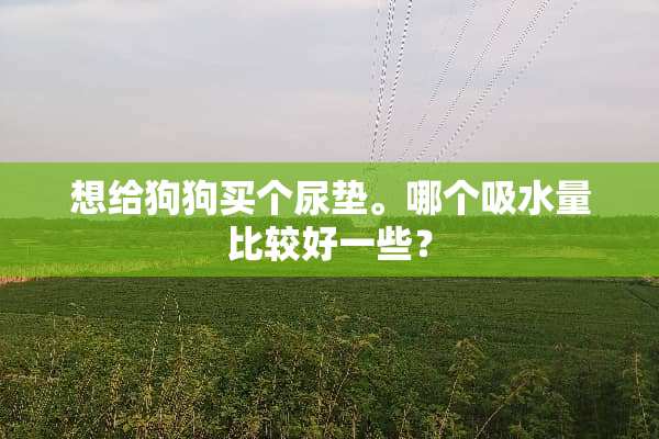 想给狗狗买个尿垫。哪个吸水量比较好一些？