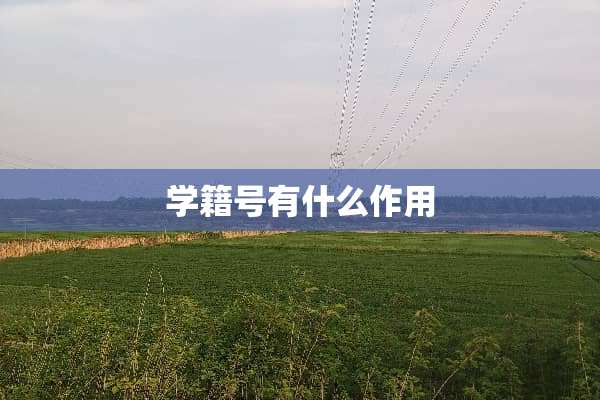 学籍号有什么作用