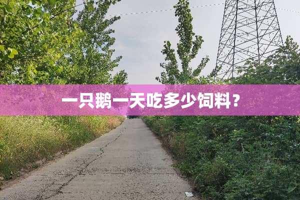 一只鹅一天吃多少饲料？