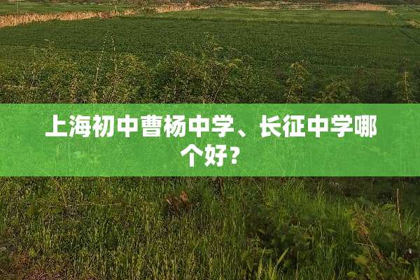 上海初中曹杨中学、长征中学哪个好？