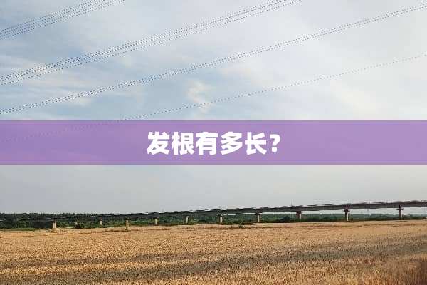 发根有多长？