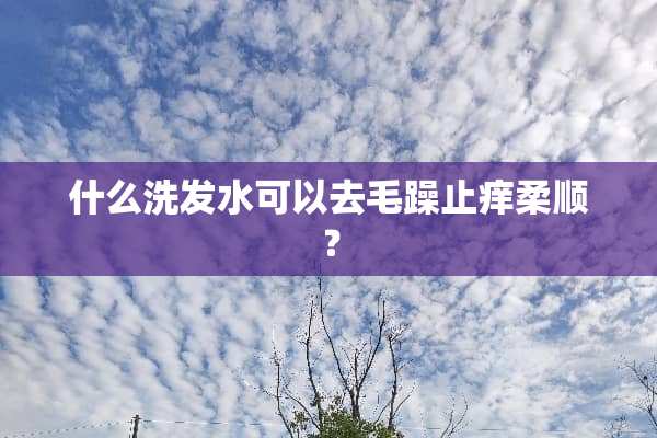 什么洗发水可以去毛躁止痒柔顺？