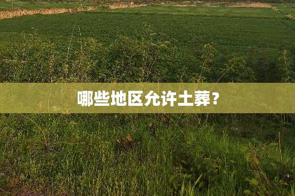 哪些地区允许土葬？