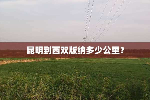 昆明到西双版纳多少公里？
