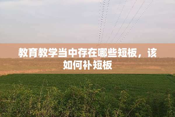 教育教学当中存在哪些短板，该如何补短板