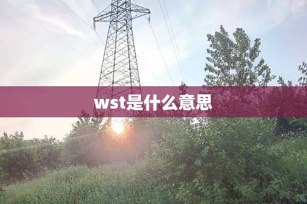 wst是什么意思