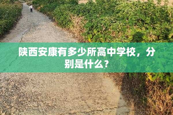 陕西安康有多少所高中学校，分别是什么？