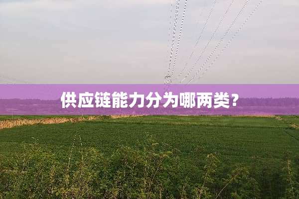 供应链能力分为哪两类？