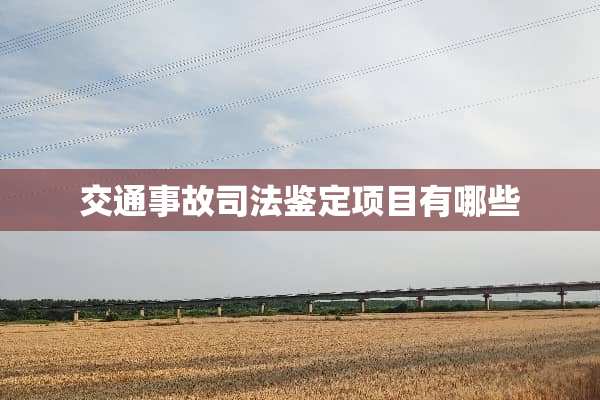 交通事故司法鉴定项目有哪些