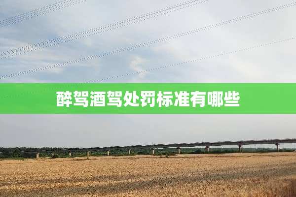 醉驾酒驾处罚标准有哪些