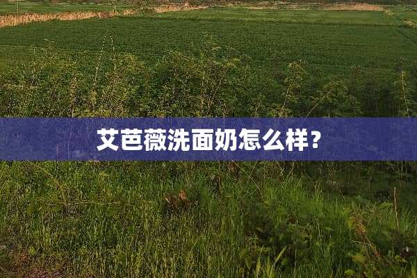艾芭薇洗面奶怎么样？
