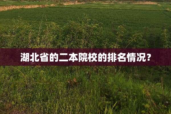 湖北省的二本院校的排名情况？