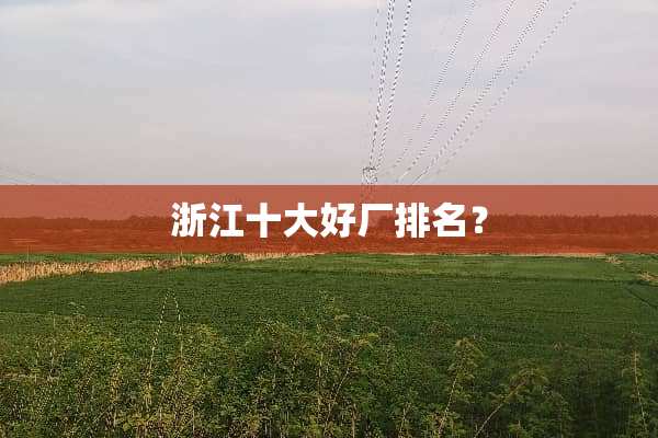 浙江十大好厂排名？