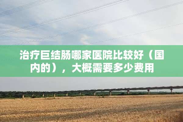 治疗巨结肠哪家医院比较好（国内的），大概需要多少费用