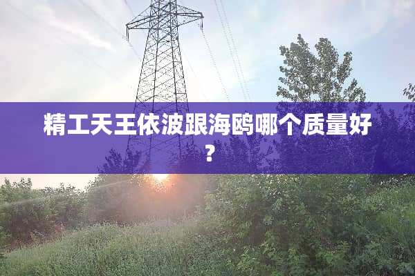 精工天王依波跟海鸥哪个质量好？