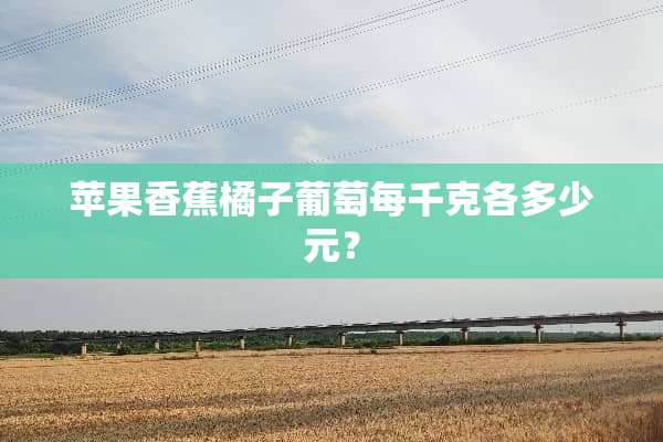 苹果香蕉橘子葡萄每千克各多少元？