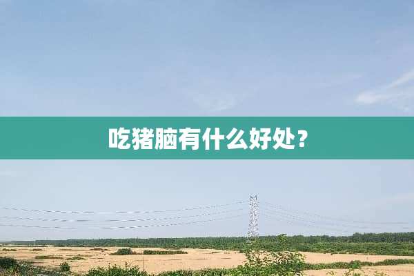 吃猪脑有什么好处？