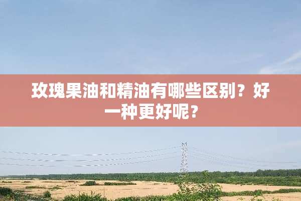 玫瑰果油和精油有哪些区别？好一种更好呢？