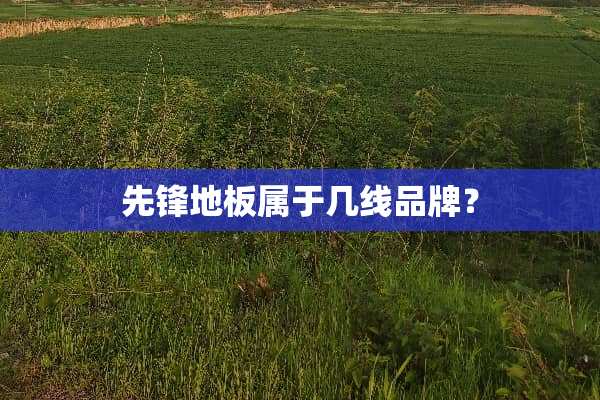 先锋地板属于几线品牌？