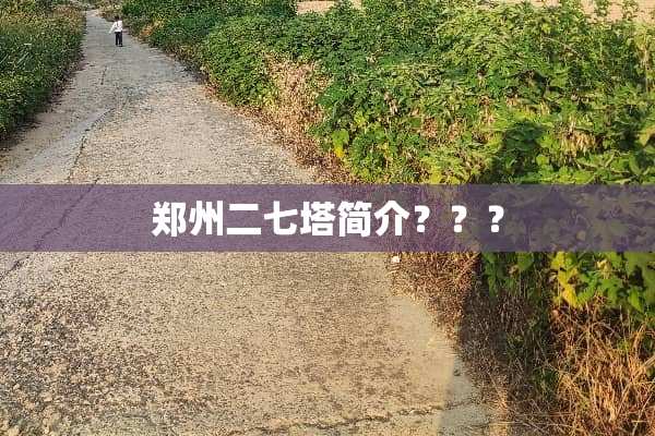 郑州二七塔简介？？？