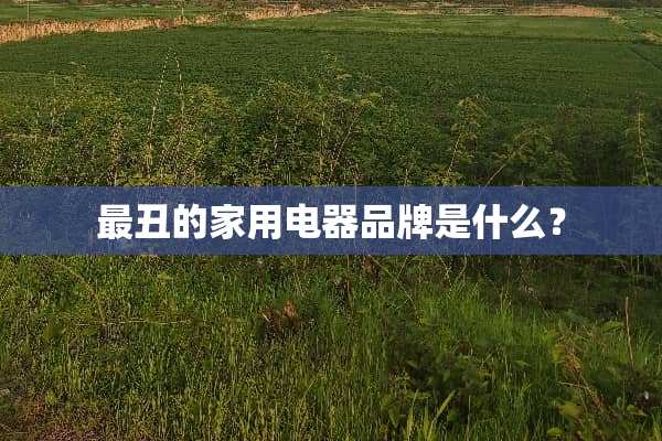最丑的家用电器品牌是什么？
