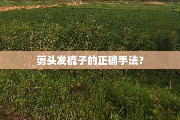 剪头发梳子的正确手法？