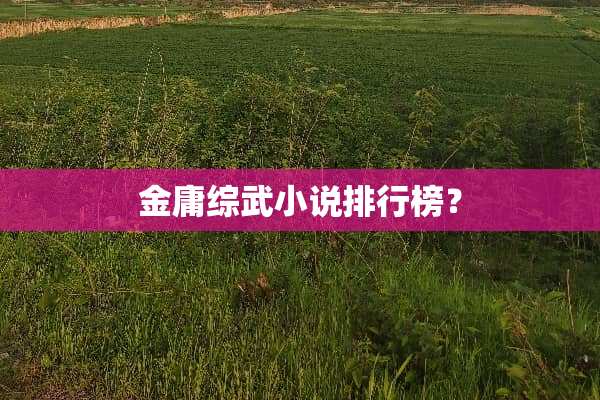 金庸综武小说排行榜？