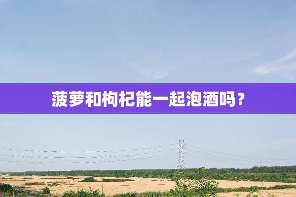 菠萝和枸杞能一起泡酒吗？