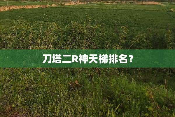 刀塔二R神天梯排名？
