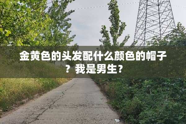 金黄色的头发配什么颜色的帽子？我是男生？
