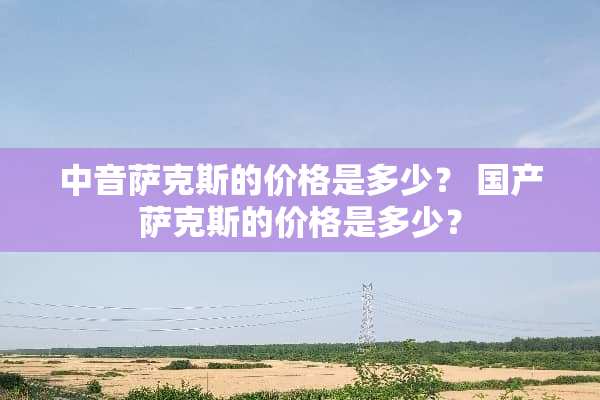 中音萨克斯的价格是多少？ 国产萨克斯的价格是多少？