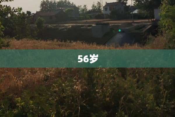56岁