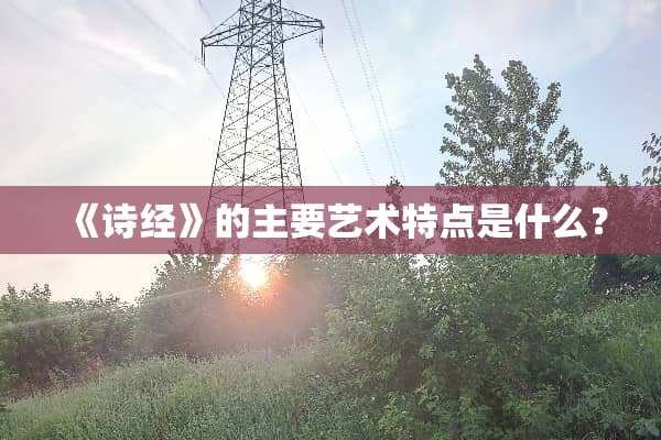 《诗经》的主要艺术特点是什么？