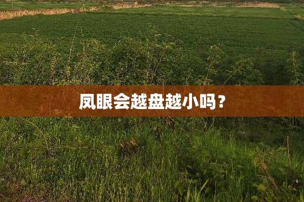 凤眼会越盘越小吗？