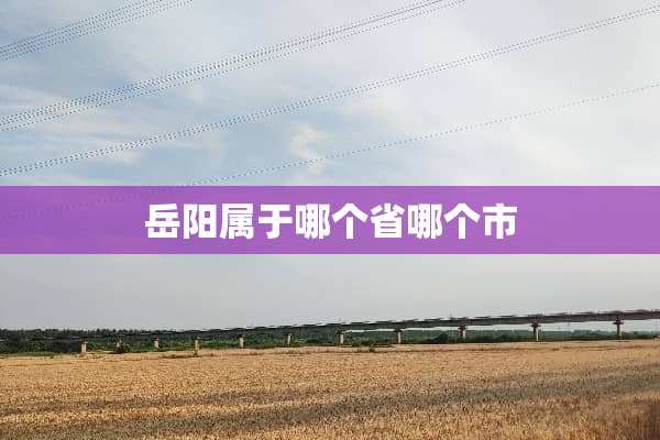 岳阳属于哪个省哪个市