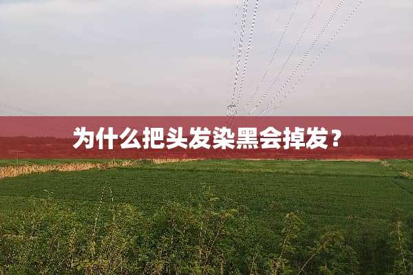为什么把头发染黑会掉发？