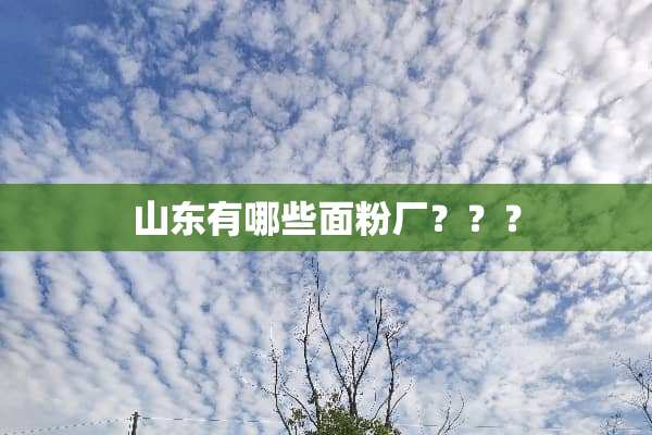 山东有哪些面粉厂？？？