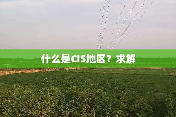 什么是CIS地区？求解