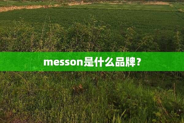 messon是什么品牌？